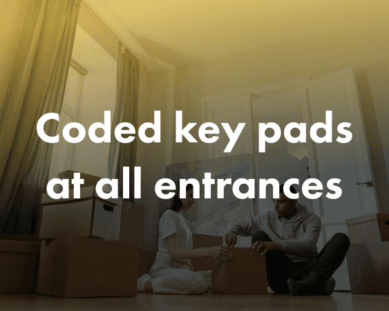 Image of people packing